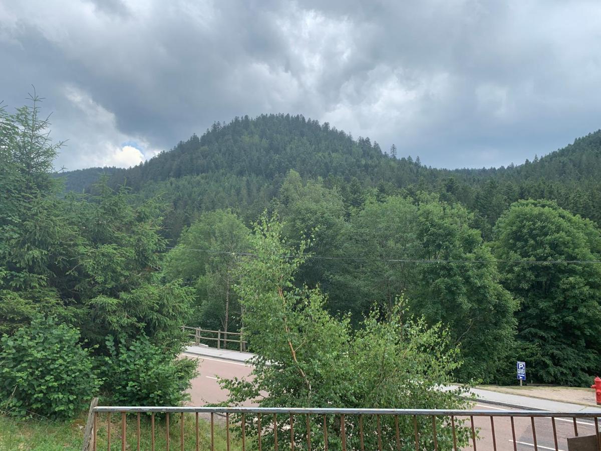 Gite De L'Ours La Bresse Exterior photo
